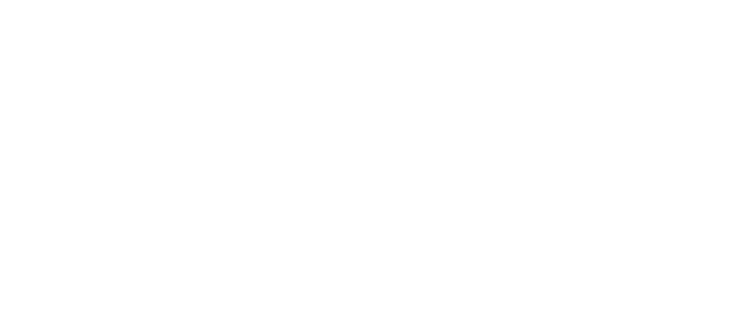 Lions Edit Ecuador